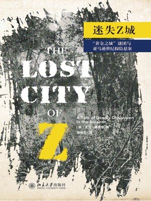 cover image of 迷失Z城